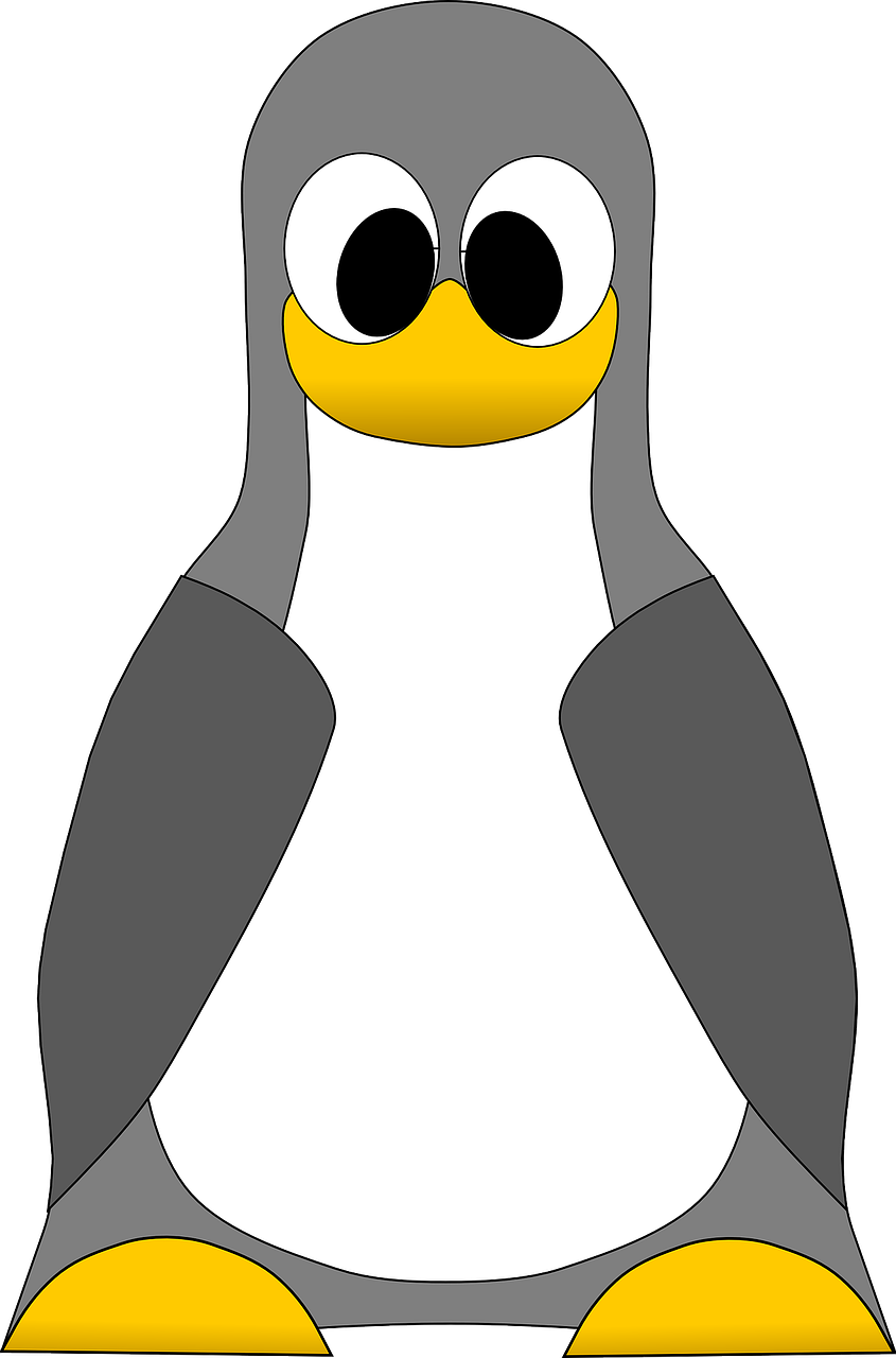 tux_penguin_linux-logo-png.png